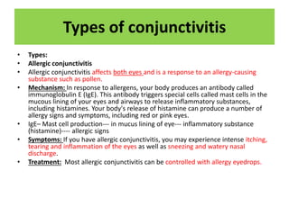 Types of conjunctivitis
• Types:
• Allergic conjunctivitis
• Allergic conjunctivitis affects both eyes and is a response to an allergy-causing
substance such as pollen.
• Mechanism: In response to allergens, your body produces an antibody called
immunoglobulin E (IgE). This antibody triggers special cells called mast cells in the
mucous lining of your eyes and airways to release inflammatory substances,
including histamines. Your body's release of histamine can produce a number of
allergy signs and symptoms, including red or pink eyes.
• IgE– Mast cell production--- in mucus lining of eye--- inflammatory substance
(histamine)---- allergic signs
• Symptoms: If you have allergic conjunctivitis, you may experience intense itching,
tearing and inflammation of the eyes as well as sneezing and watery nasal
discharge.
• Treatment: Most allergic conjunctivitis can be controlled with allergy eyedrops.
 