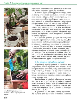 104
Розділ 2. Благоустрій простору навколо нас
переліком складників на упаковці не можна
відрізнити хороший ґрунт від поганого.
Поганий ґрунт світло-рудого кольору. Вода
на ньому збирається кульками, стрімко стікає
повз землю в піддон, ґрунт не змочується, рос-
лина пересихає. Хороший ґрунт чорно-коричне-
вий, швидко та рівномірно просочується водою,
при висиханні незначно змінюється в об’ємі.
Землю можна акуратно утрамбувати паль-
цями, щоб проштовхнути її між корінням,
зафіксувати рослину вертикально. Аби земля
рівномірно осіла, слід акуратно постукати гор-
щиком по горизонтальній поверхні чи долонею
по стінці горщика.
Для деяких рослин доведеться пошукати
чи навіть приготувати спеціальну суміш. Для
фаленопсисів (найпопулярніших орхідей) потріб-
но купити та нарізати великими кубиками ко-
ру сосни. Кактуси та інші сукуленти саджають
у суміш, яка містить не менше половини розпу-
шувачів: каміння, крупного піску, лавової крих-
ти, цеоліту. Для венериної мухоловки (комахо-
їдної рослини) потрібно купити чистий верховий
торф. Чим рідкісніша чи вибагливіша рослина,
тим незвичніший ґрунт використовується.
6. Як правильно пересадити рослину?
Пересадку краще робити з березня, ко-
ли рослина почала пускати нове листя і в неї
попереду багато часу для росту. Восени та взим-
ку (з жовтня до лютого) від пересадки зазвичай
більше шкоди, ніж користі: рослини перебува-
ють у стані спокою, сил відростити нове коріння
в них недостатньо.
Традиційна пересадка кімнатних рослин
полягає в тому, щоб акуратно забрати старий
ґрунт, розкласти корені на гірці свіжої землі та
досипати землю зверху. Дрібні та середні рос-
лини пересаджують після покупки та щорічно
весною (мал. 16.6).
Перевалка — ще один метод пересадки.
Це варіант для лінивого: необхідно вийняти
МАЛ. 16.6. Пересаджування
рослин — дуже відповідальний
процес
 