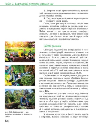106
Розділ 2. Благоустрій простору навколо нас
2. Вибрати, який ефект потрібен від мульчі:
той, що попереджає перезволоження, чи навпаки,
добре утримує вологу.
3. Подумати про декоративні характеристи-
ки — текстуру, колір тощо.
Отже, коли рослину влаштовує світло, тем-
пература, вологість повітря та полив, вона з ве-
ликою ймовірністю гарно сприйме пересадку.
Квіти вдома — це про затишок, комфорт,
свіжість і зв’язок з природою. Тож нехай вони
кожного дня тішать ваше око й серце своїм
цвітом, ароматом і новими пагінцями.
Садові рослини
Сьогодні надзвичайно популярним є озе-
ленення та благоустрій земельних ділянок, що
в сучасному світі називають ландшафтним
дизайном. Важко уявити міський пейзаж,
заміський двір, дачне селище без гарних і догля-
нутих галявин, клумб, штучних насаджень. Як
приємно прогулятися серед прекрасних клумб,
посидіти в парку або просто подивитися з вікна
на чудові квіти! У такі хвилини хочеться зали-
шатися в цій казці назавжди (мал. 16.8).
Садівництво — це вирощування декоратив-
них садових рослин, а також обробіток багато-
річних плодових і ягідних культур. Садівництво
є галуззю рослинництва. Садовими називають
рослини, які вирощують у саду. Із їхніми основ-
ними видами ви можете ознайомитись у таблиці
на с. 107.
Декоративні рослини також поділяються
на красиво-квіткові та декоративно-листяні.
Частину садових рослин можна водночас від-
нести до обох груп: у період цвітіння вони при-
вабливі за рахунок квіток і суцвіть, а до і після
цвітіння — завдяки декоративному листю.
А є садові рослини, які водночас є і декоратив-
ними, і плодовими.
У садових культурах є безліч видів, сортів
і гібридів. Кожна рослина в саду потребує
МАЛ. 16.8. Садівництво — це,
зокрема, виховання естетичного
смаку
 