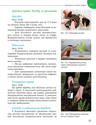 97
§15
Озеленення в житті людини
Декілька правил догляду за рослинами
Пересадка
(мал. 15.4)
• Рослини пересаджують раз на 1–2 роки
на початку весни або в кінці літа.
• Горщик підбирають дещо більший за по-
передній (розмір визначають візуально).
• Для більшості рослин використову-
ють суміш із садової землі, піску та торфу.
Використовують готову суміш, що продається
в квіткових магазинах.
Підживлення
(мал. 15.5)
• Розрізняють кореневе (полив) та поза-
кореневе (оприскування наземної частини) під-
живлення.
• Підгодівлі доцільні в момент активного
росту рослин.
• Полив добривом припиняють взимку,
коли зростання сповільнюється, або після пере-
садки рослини.
• Для підживлення кімнатних квітів ви-
користовують мінеральні та органічні добрива,
а також настої власного виготовлення.
Розпушування ґрунту
(мал. 15.6)
Це дрібна обробка, яка збільшує доступ по-
вітря в ґрунт. У результаті розпушування руй-
нується ґрунтова кірка, що сприяє зменшенню
випаровування внутрішньої вологи. У розпуше-
ний ґрунт краще всмоктується вода, тому ґрунт
у горщику треба регулярно розпушувати палич-
кою або грабельками.
Боротьба зі шкідниками та хворобами
У більшості випадків ураження кімнат-
них рослин шкідниками та збудниками хво-
роб викликані неправильним доглядом чи
МАЛ. 15.4. Пересадка рослин
МАЛ. 15.5. Підживлення рослин
через оприскування наземної
частини
МАЛ. 15.6. Розпушування збільшує
доступ повітря в ґрунт
 