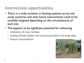 Assessment of the dairy cattle feeding systems in East Africa