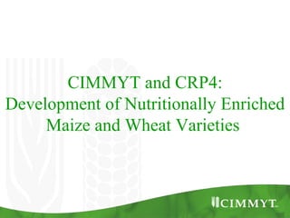 CIMMYT and CRP4:
Development of Nutritionally Enriched
     Maize and Wheat Varieties
 