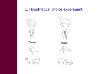 Designing and implementation of community-based breeding programs for adapted local sheep breeds in Ethiopia