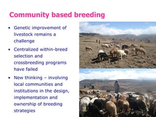 Designing and implementation of community-based breeding programs for…