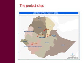 Designing and implementation of community-based breeding programs for adapted local sheep breeds in Ethiopia