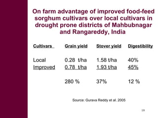 Dual-purpose crop development, fodder trading and processing pptions for improved feed value chains