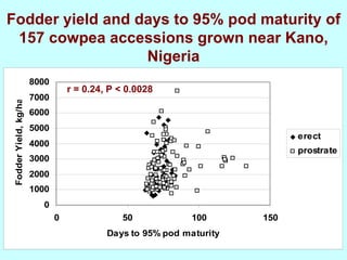 Yield and nutritive quality of genetically diverse cowpea accessions for use as food-feed crops