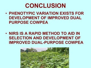 Yield and nutritive quality of genetically diverse cowpea accessions for use as food-feed crops