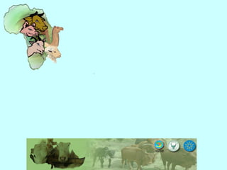 Yield and nutritive quality of genetically diverse cowpea accessions for use as food-feed crops