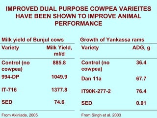 Yield and nutritive quality of genetically diverse cowpea accessions for use as food-feed crops