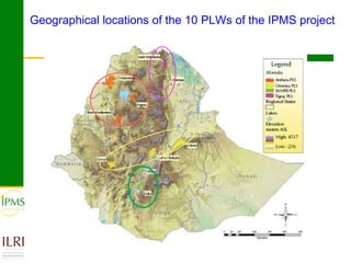 Analyses of household specific transaction cost factors in livestock and livestock outputs markets in Ethiopia