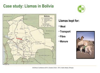 Important aspects and limitations in considering community-based breeding programs for low-input smallholder livestock systems 