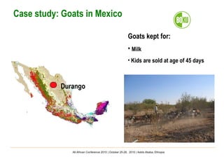 Important aspects and limitations in considering community-based breeding programs for low-input smallholder livestock systems 