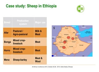 Important aspects and limitations in considering community-based breeding programs for low-input smallholder livestock systems 