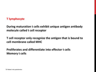 T lymphocyte
During maturation t cells exhibit unique antigen antibody
molecule called t cell receptor
T cell receptor only recognize the antigen that is bound to
cell membrane called MHC
Proliferates and differentiate into effector t cells
Memory t cells
Dr Nidesh mds pedodontics
 