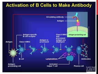 Dr Nidesh mds pedodontics
 