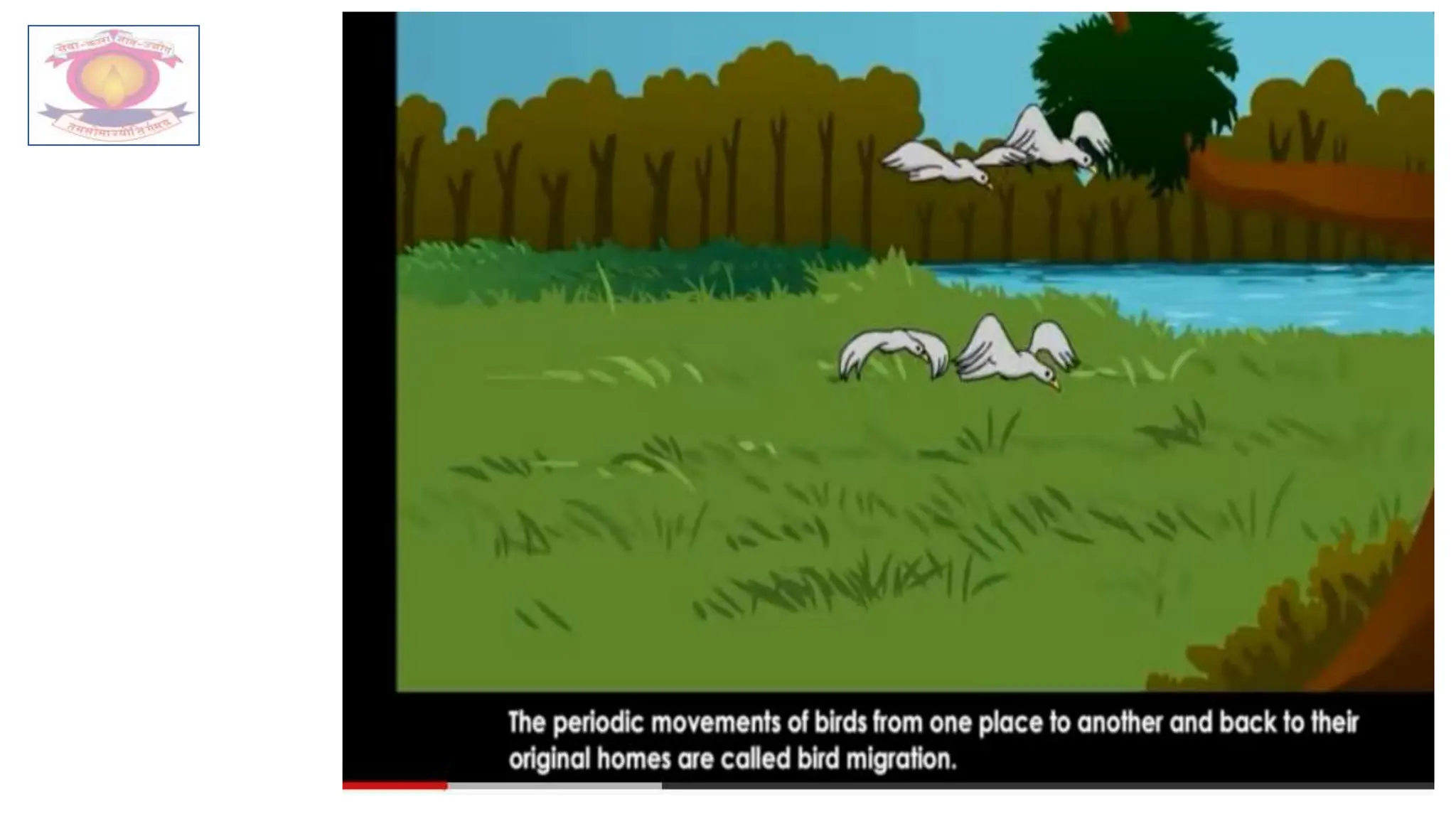 5th Bird Migration Lesson 4 Pptx