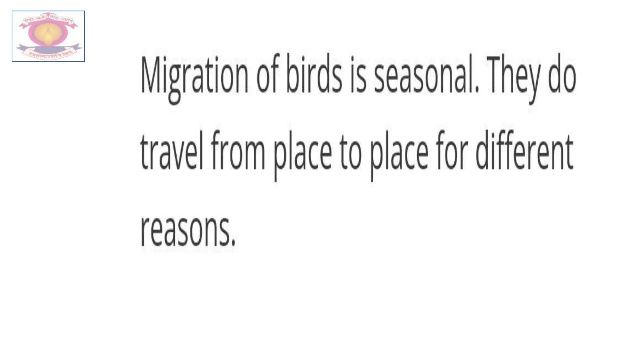 5th Bird Migration Lesson 4 Pptx