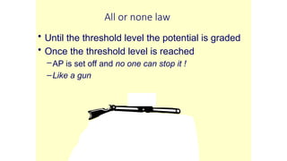 All or none law
• Until the threshold level the potential is graded
• Once the threshold level is reached
–AP is set off and no one can stop it !
–Like a gun
 