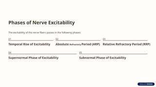 Phases of Nerve Excitability
The excitability of the nerve fibers passes in the following phases:
01
Temporal Rise of Excitability
02
Absolute Refractory Period (ARP)
03
Relative Refractory Period (RRP)
04
Supernormal Phase of Excitability
05
Subnormal Phase of Excitability
 