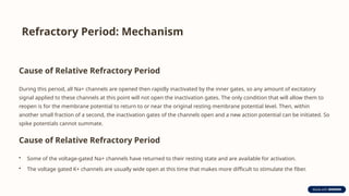 Refractory Period: Mechanism
Cause of Relative Refractory Period
During this period, all Na+ channels are opened then rapidly inactivated by the inner gates, so any amount of excitatory
signal applied to these channels at this point will not open the inactivation gates. The only condition that will allow them to
reopen is for the membrane potential to return to or near the original resting membrane potential level. Then, within
another small fraction of a second, the inactivation gates of the channels open and a new action potential can be initiated. So
spike potentials cannot summate.
Cause of Relative Refractory Period
• Some of the voltage-gated Na+ channels have returned to their resting state and are available for activation.
• The voltage gated K+ channels are usually wide open at this time that makes more difficult to stimulate the fiber.
 