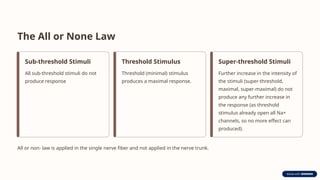The All or None Law
Sub-threshold Stimuli
All sub-threshold stimuli do not
produce response
Threshold Stimulus
Threshold (minimal) stimulus
produces a maximal response.
Super-threshold Stimuli
Further increase in the intensity of
the stimuli (super-threshold,
maximal, super-maximal) do not
produce any further increase in
the response (as threshold
stimulus already open all Na+
channels, so no more effect can
produced).
All or non- law is applied in the single nerve fiber and not applied in the nerve trunk.
 