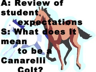 A: Review of
student
   expectations
S: What does it
mean
   to be a
Canarelli
 