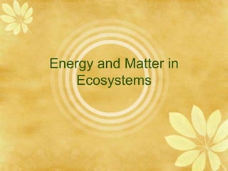 Energy and Matter in
Ecosystems
 