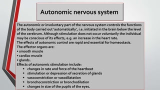 Autonomic nervous system
The autonomic or involuntary part of the nervous system controls the functions
of the body carried out 'automatically', i.e. initiated in the brain below the level
of the cerebrum. Although stimulation does not occur voluntarily the individual
may be conscious of its effects, e.g. an increase in the heart rate.
The effects of autonomic control are rapid and essential for homeostasis.
The effector organs are:
• smooth muscle
• cardiac muscle
• glands.
Effects of autonomic stimulation include:
 changes in rate and force of the heartbeat
 stimulation or depression of secretion of glands
 vasoconstriction or vasodilatation
 bronchoconstriction or bronchodilation
 changes in size of the pupils of the eyes.
 