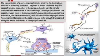 The transmission of a nerve impulse from its origin to its destination,
whether it is sensory or motor. The point at which the nerve impulse
passes from one to another is the synapse. breaks up into minute
branches which terminate in small swellings called synaptic knobs.The
space between them is the synaptic cleft. synaptic vesicles, containing
a chemical, the neurotransmitter, which is released into synaptic clefts.
Neurotransmitters are synthesized by nerve cells, actively transported
along the axons and stored in the synaptic vesicles.
 