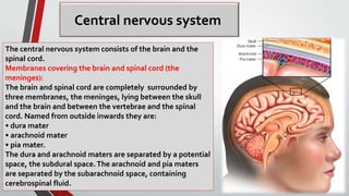 Central nervous system
The central nervous system consists of the brain and the
spinal cord.
Membranes covering the brain and spinal cord (the
meninges):
The brain and spinal cord are completely surrounded by
three membranes, the meninges, lying between the skull
and the brain and between the vertebrae and the spinal
cord. Named from outside inwards they are:
• dura mater
• arachnoid mater
• pia mater.
The dura and arachnoid maters are separated by a potential
space, the subdural space.The arachnoid and pia maters
are separated by the subarachnoid space, containing
cerebrospinal fluid.
 
