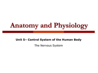 Anatomy and Physiology
Unit 5– Control System of the Human Body
The Nervous System
 