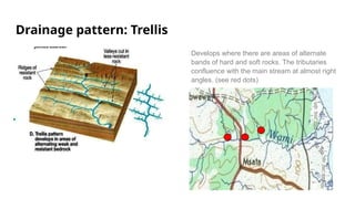 Trellis Flow Pattern Fifth form River Processes Caribbean Examinantion | PPTX