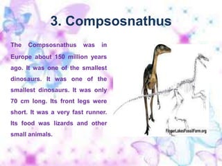 3. CompsosnathusThe Compsosnathus was in Europe about 150 million years ago. It was one of the smallest dinosaurs. It was one of the smallest dinosaurs. It was only 70 cm long. Its front legs were short. It was a very fast runner. Its food was lizards and other small animals.