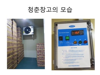 청춘창고의 모습
 