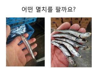 어떤 멸치를 팔까요?
 