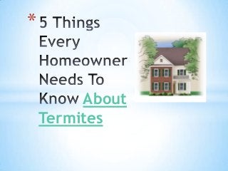 *
About
Termites
 