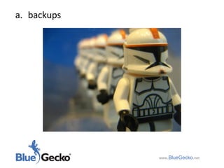 backups www .BlueGecko . net 