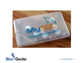 www .BlueGecko . net 