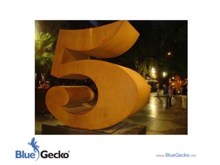 www .BlueGecko . net 