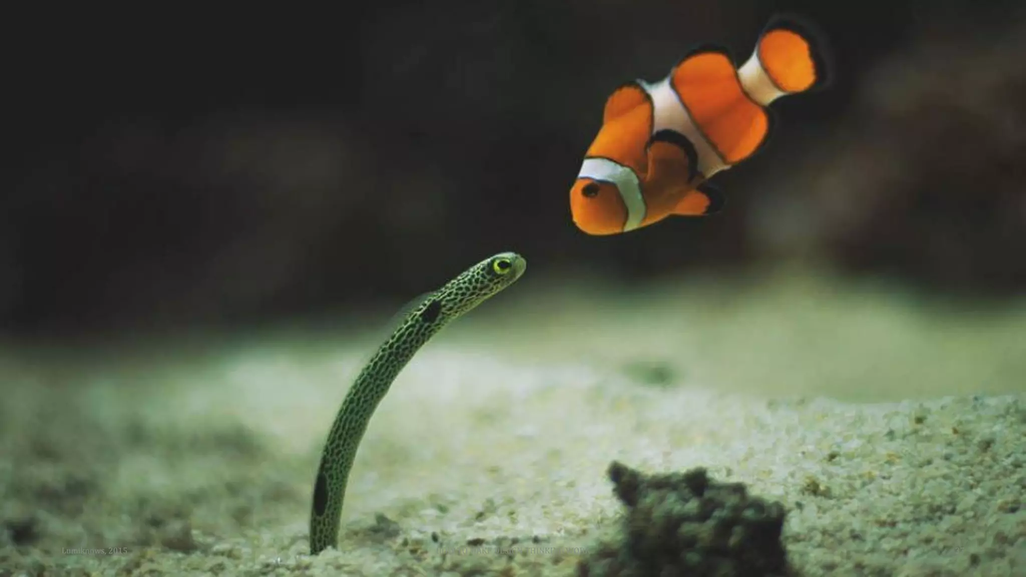 Lumiknows, 2015 HOW TO MAKE DESIGN THINKING WORK 37
 