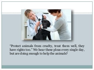 5 things vets want you to know about animal care