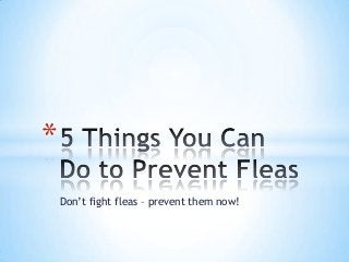 Don’t fight fleas – prevent them now!
*
 