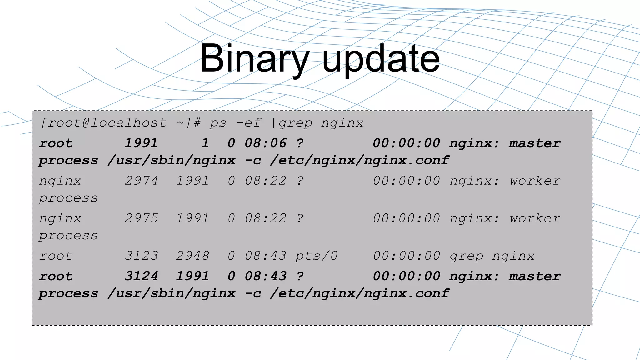 Binary update
[root@localhost ~]# ps -ef |grep nginx
root 1991 1 0 08:06 ? 00:00:00 nginx: master
process /usr/sbin/nginx -c /etc/nginx/nginx.conf
nginx 2974 1991 0 08:22 ? 00:00:00 nginx: worker
process
nginx 2975 1991 0 08:22 ? 00:00:00 nginx: worker
process
root 3123 2948 0 08:43 pts/0 00:00:00 grep nginx
root 3124 1991 0 08:43 ? 00:00:00 nginx: master
process /usr/sbin/nginx -c /etc/nginx/nginx.conf
 