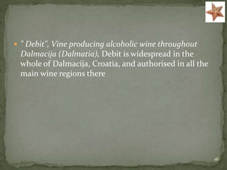  " Debit", Vine producing alcoholic wine throughout
Dalmacija (Dalmatia), Debit is widespread in the
whole of Dalmacija, Croatia, and authorised in all the
main wine regions there
16
 
