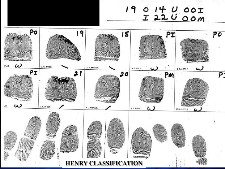Classification
