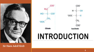 Sir Hans Adolf Kreb
3
 