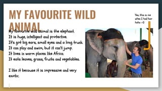 MY FAVOURITE WILD
ANIMALMy favourite wild animal is the elephant.
It is huge, intelligent and protective.
It's got big ears, small eyes and a long trunk.
It can play and swim, but it can't jump.
It lives in warm places like Africa.
It eats leaves, grass, fruits and vegetables.
I like it because it is impressive and very
exotic.
Yes, this is me
when I had hair
haha :-D
 