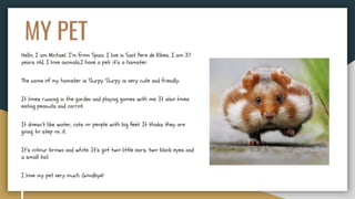 MY PET
Hello, I am Michael. I’m from Spain. I live in Sant Pere de Ribes. I am 37
years old. I love animals.I have a pet: it’s a hamster.
The name of my hamster is Slurpy. Slurpy is very cute and friendly.
It loves running in the garden and playing games with me. It also loves
eating peanuts and carrot.
It doesn’t like water, cats or people with big feet. It thinks they are
going to step on it.
It’s colour brown and white. It’s got two little ears, two black eyes and
a small tail.
I love my pet very much. Goodbye!
 