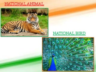 5th std social bridge course